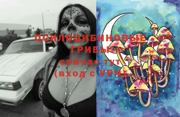 COCAINE Богородицк