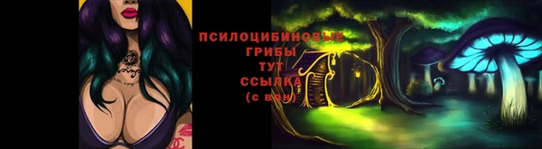 дмт Богородск