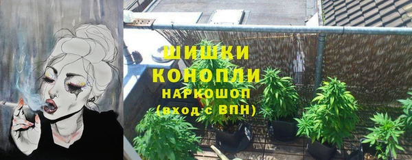 дмт Богородск